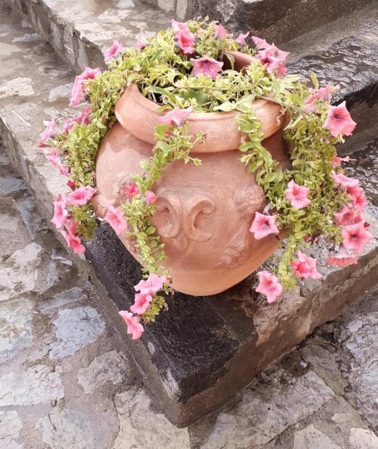Villa La Sciuscella Conca dei Marini Esterno foto